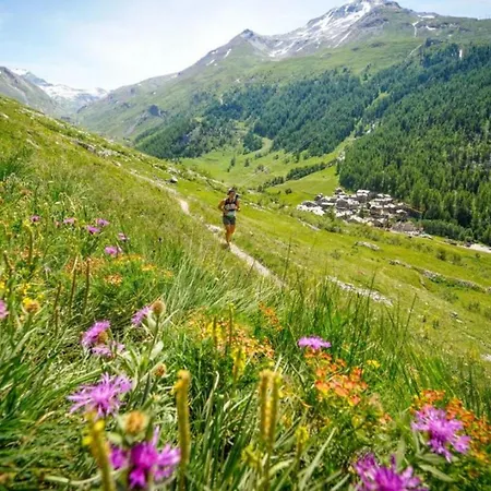 Sapaudia - Charm Town Centre Retreat Chamonix